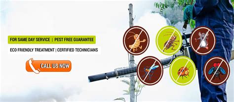 Mountain High Care - Pest Control Service in Gurgaon and Pest Control ...