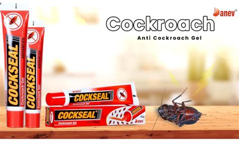 DANEV Cockroach Killer Gel COCKSEAL Advanced Cockroach Gel - 80 GM ...
