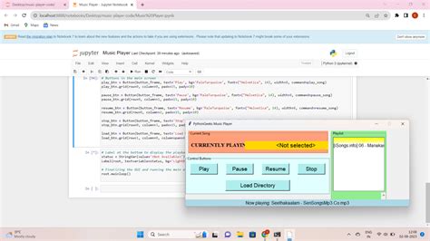 Musique Python 的图像结果