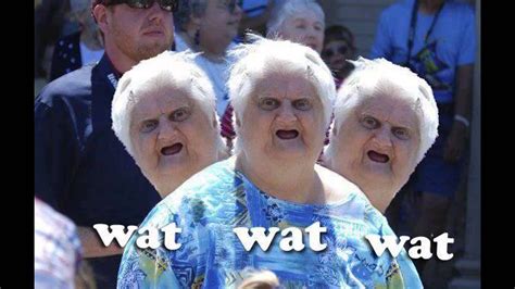 Memes Vault Wat Memes of Old Lady
