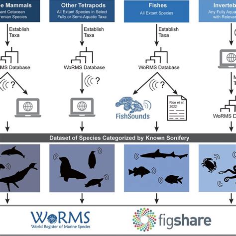Image result for Data Collection Methods Mind Map