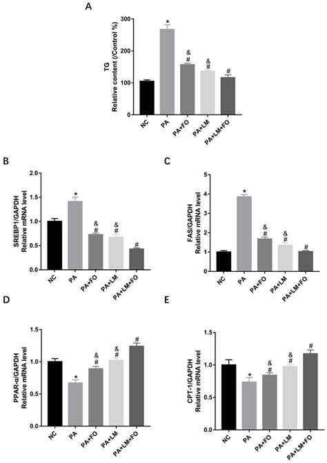 Effects of Fish Oil, Lipid Mediators, Derived from Docosahexaenoic Acid ...