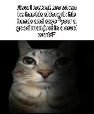 Cruel Jokes - The 15 Best Jokes - Worst Jokes Ever