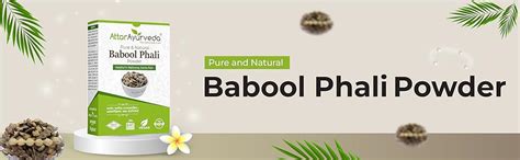 Attar Ayurveda Babool Phali Powder (500 grams) - Babool Fali - Kikar ...