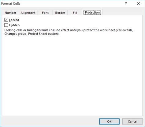 Image result for Protect Worksheet