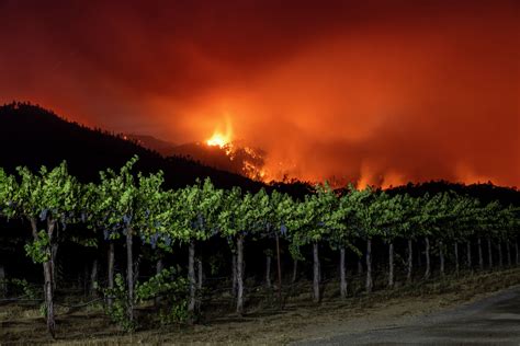 The Pickett Fire is threatening these Napa Valley wineries