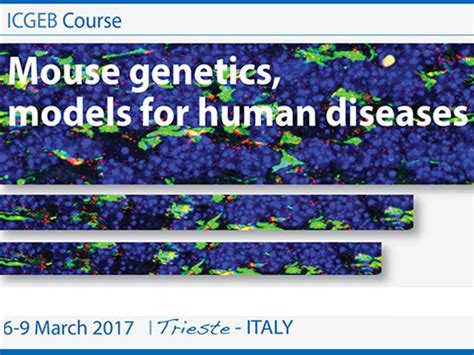 Image result for Mouse Genetics