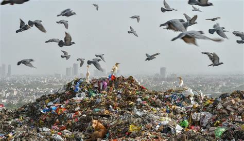 Image result for Waste Problem India