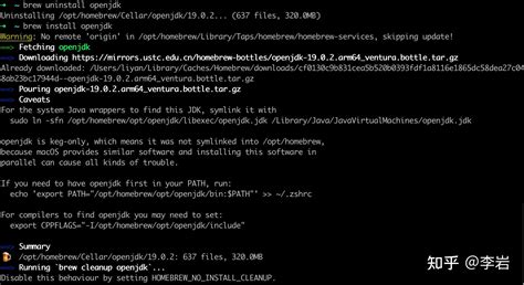 Configuring Java in Mac M1 的图像结果