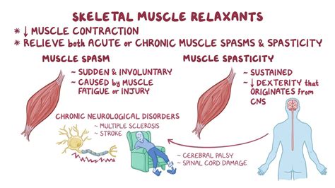 Muscle Relaxers: Common Types & Identification