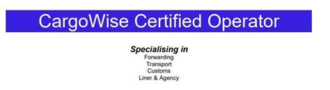 CargoWise Tutorial 的图像结果