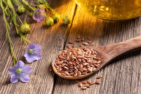 5 Reasons Why Should You Eat Flax Seeds in Pregnancy - Healthy Master ...