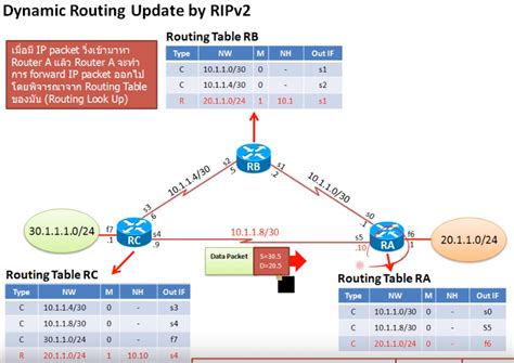 Dynamic Routing with Reflex Tutorial 的图像结果