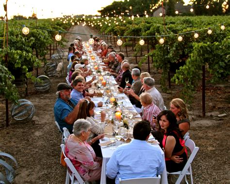 Beautiful! | Vineyard dinner, Wedding event venues, Vineyard dinner party