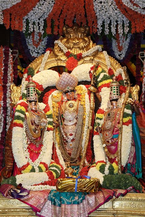 Lord as Sri Rama Grace On Float - rspnetwork.in