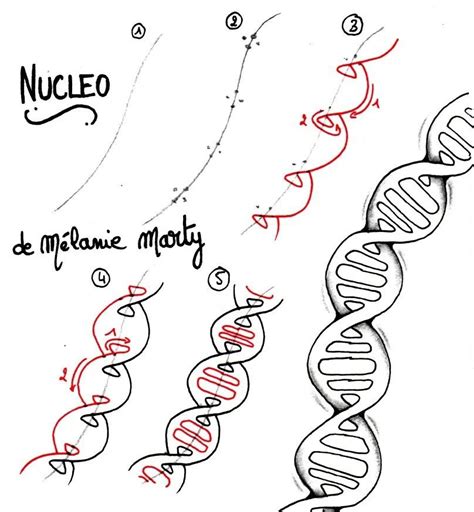 Genes 的图像结果