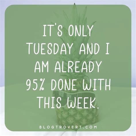 Funny Tuesday Night Quotes