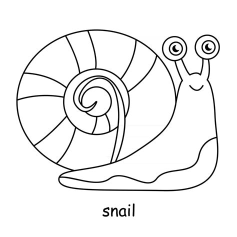 Snail Coloring Pages Lipped Printable Realistic Mollusc Drawing ...