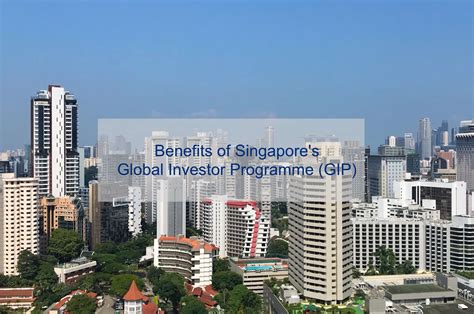 Global Investor Partnership Program 的图像结果