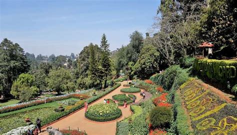Road Trip From Coimbatore To Ooty – A Journey Through The Nilgiris