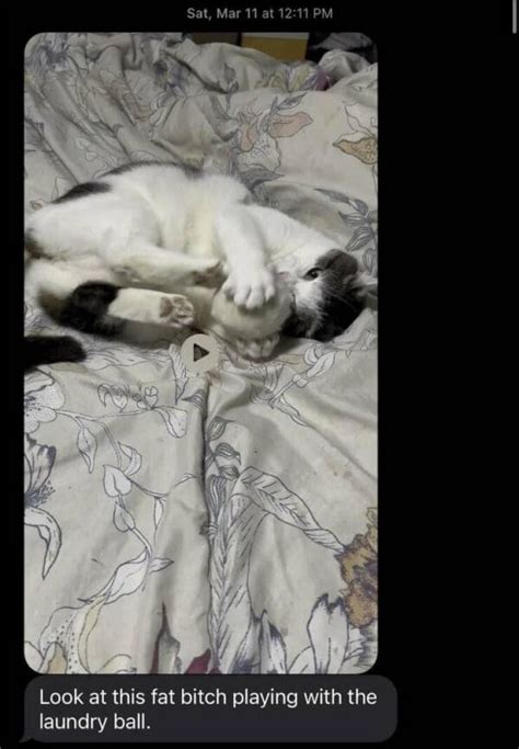 Witty Texts 的图像结果