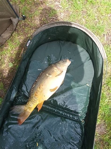 HOLMSTON HALL (Tarporley) - Campground Reviews & Photos - Tripadvisor