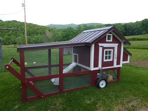 Backyard Chicken Coop For 6 Chickens