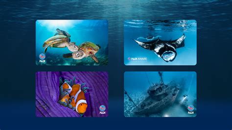 gallery of certification card designs