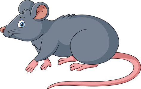 Cute mouse cartoon on white background 24589755 Vector Art at Vecteezy