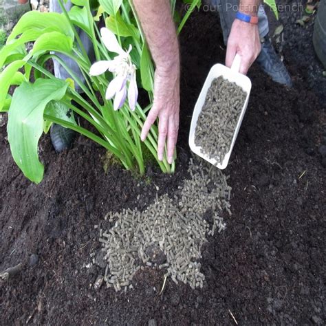 Image result for Homemade Slug Control