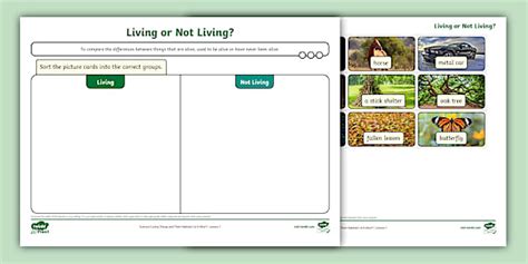 Living or Not Living Picture Cards Sorting Activity