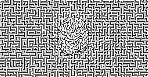 About the ecosystem | Business Leadership League