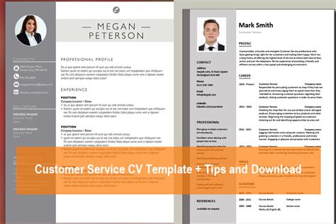Image result for Insurance Customer Service CV Template