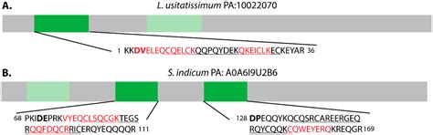 Mass Spectrometric Identification of Antimicrobial Peptides from ...