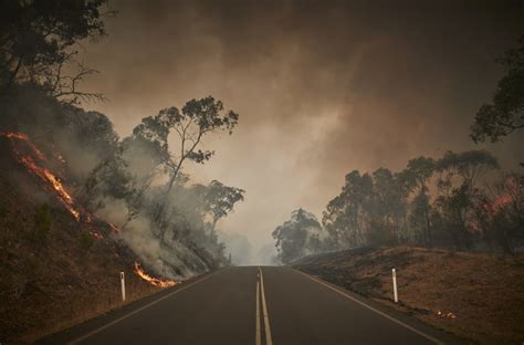 澳洲山火蔓延近1000公里，悉尼告急！已有3人遇难，350只考拉死亡 | 每经网