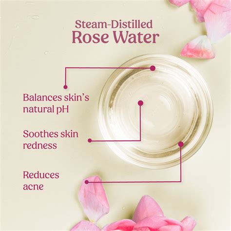 Buy Vilvah rosewater toner online for skin problems