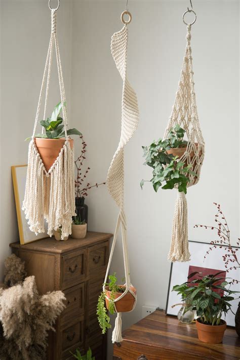 Top Notch Plant Holder From Ceiling Succulent Dolphin