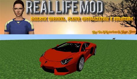Image result for Minecraft Real Life Mod