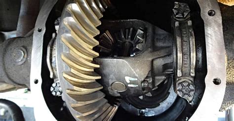How Much Does A Rear Differential Rebuild Cost