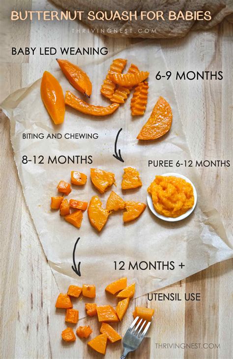 How To Roast Butternut Squash Baby Food
