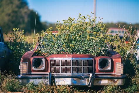 Image result for How Car Insurance Fraud Works