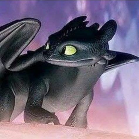 Image result for Toothless Pfpp