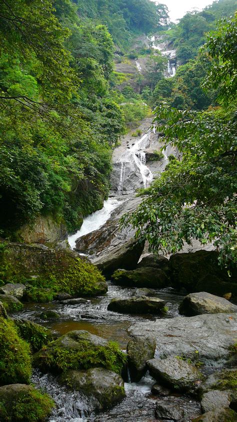 Oxygen ★ Sabyasachi - A Progressive Thought