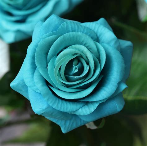 Green And Blue Roses