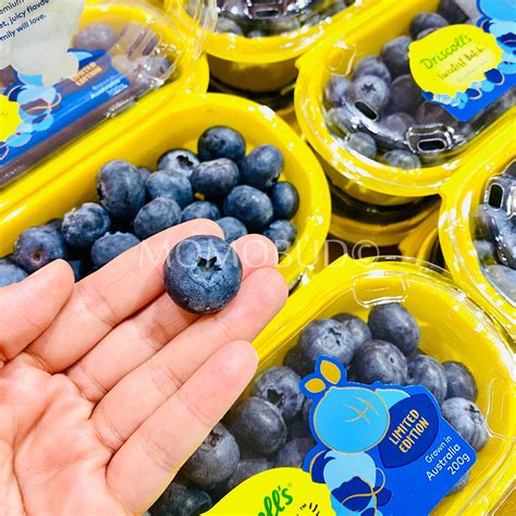 Driscoll's Sweetest Batch Blueberry (200g punnet) — MomoBud