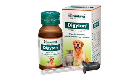 Himalaya digyton drops 30ml pack of 3 - Amanpetshop-