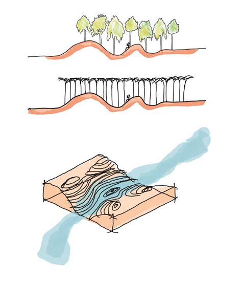 Beijing Library 的图像结果