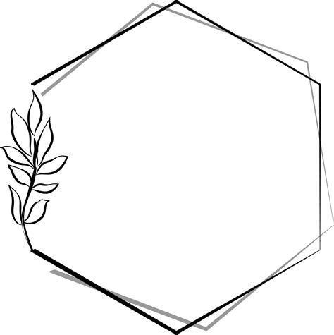 Image result for Hexagonal Frame Png