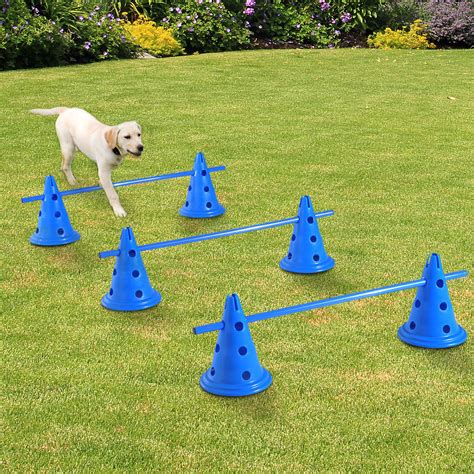 Dog Agility Equipment Kits at Tara Brothers blog