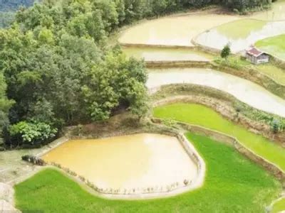 Nagaland's Zabo Water Conservation Method: How This Indigenous System ...